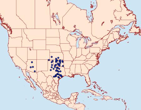 Distribution Data for Satyrium alcestis