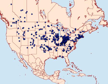 Distribution Data for Satyrium titus