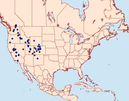 Distribution Data for Satyrium behrii