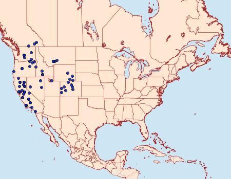 Distribution Data for Satyrium californica