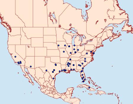 Distribution Data for Setomorpha rutella