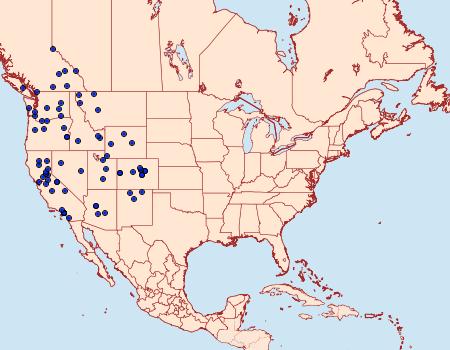 Distribution Data for Satyrium sylvinus