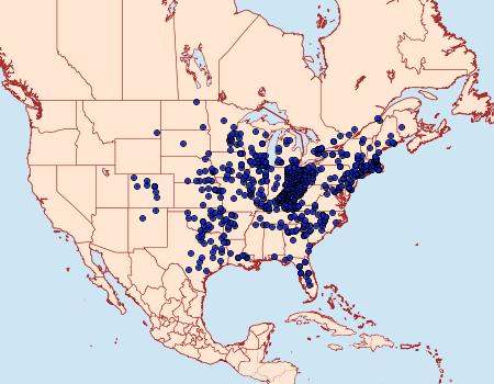 Distribution Data for Satyrium calanus