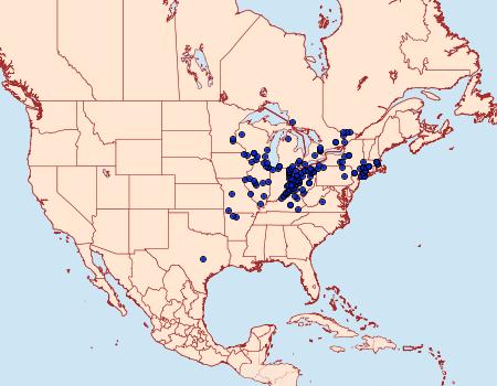 Distribution Data for Satyrium caryaevorus