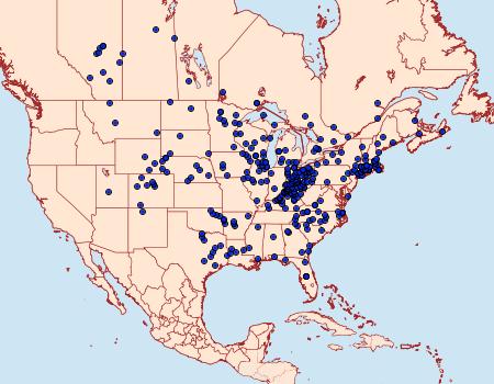 Distribution Data for Satyrium liparops