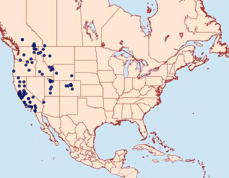 Distribution Data for Satyrium saepium