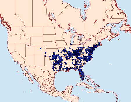 Distribution Data for Calycopis cecrops