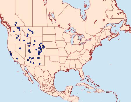 Distribution Data for Callophrys affinis