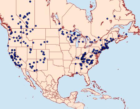 Distribution Data for Callophrys augustinus