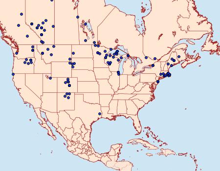 Distribution Data for Callophrys polios