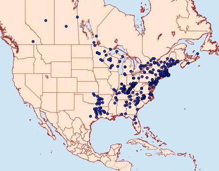 Distribution Data for Callophrys niphon