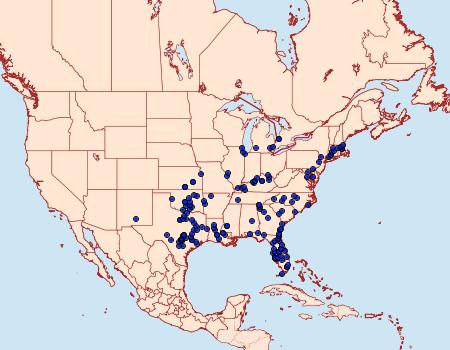 Distribution Data for Satyrium favonius