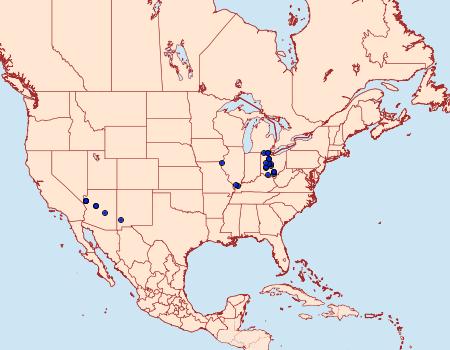 Distribution Data for Satyrium ilavia