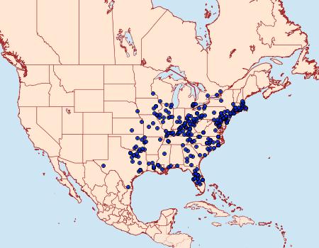 Distribution Data for Parrhasius m-album