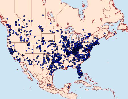 Distribution Data for Strymon melinus