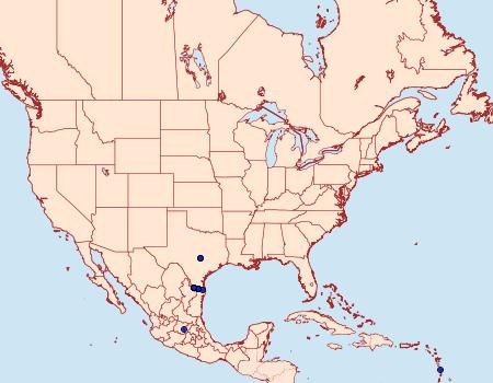 Distribution Data for Strymon rufofusca