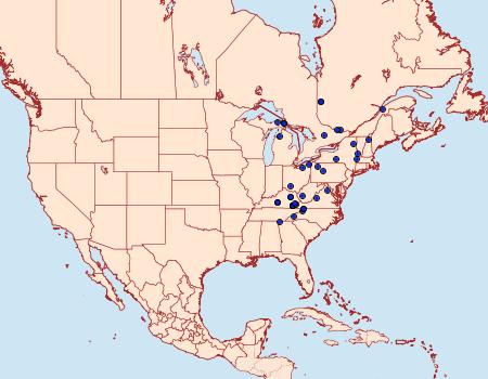 Distribution Data for Erora laeta