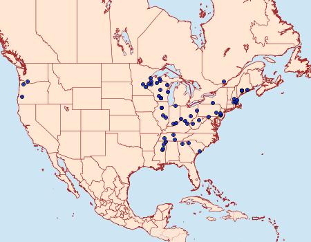 Distribution Data for Dahlica walshella