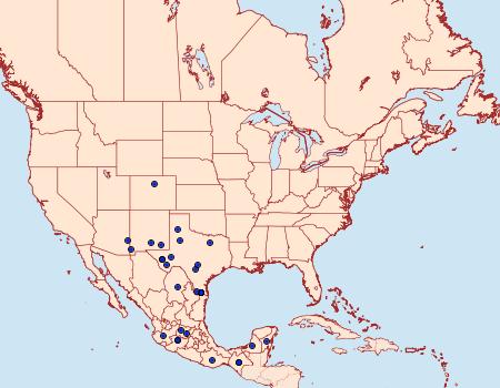 Distribution Data for Zizula cyna