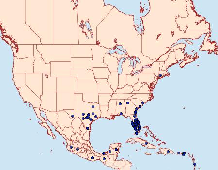 Distribution Data for Leptotes cassius