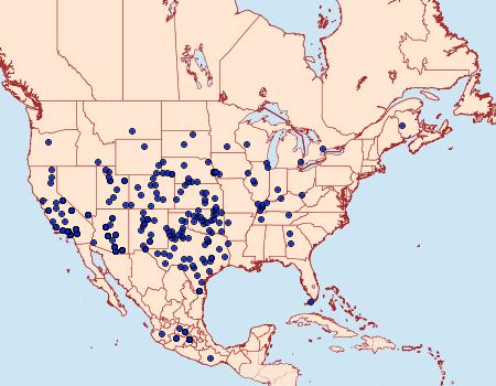 Distribution Data for Leptotes marina