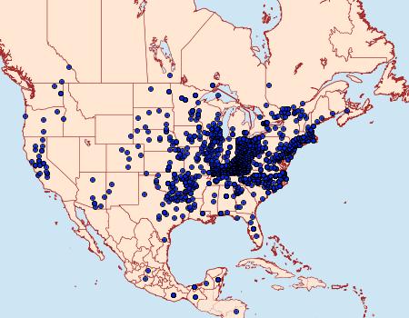 Distribution Data for Cupido comyntas