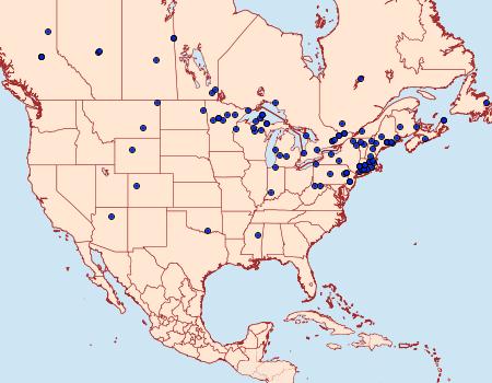 Distribution Data for Celastrina lucia