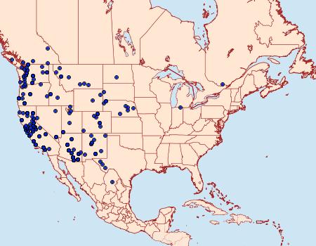 Distribution Data for Celastrina echo