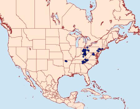 Distribution Data for Celastrina neglectamajor