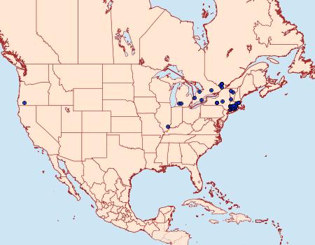 Distribution Data for Celastrina serotina