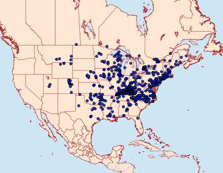 Distribution Data for Celastrina neglecta