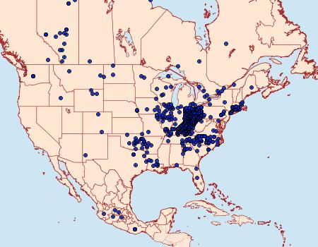 Distribution Data for Celastrina ladon