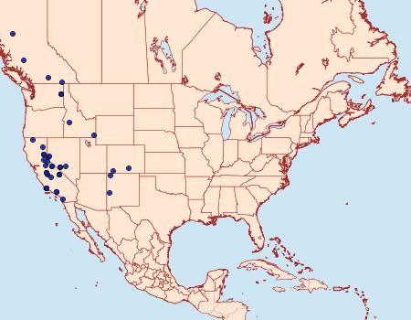 Distribution Data for Euphilotes battoides