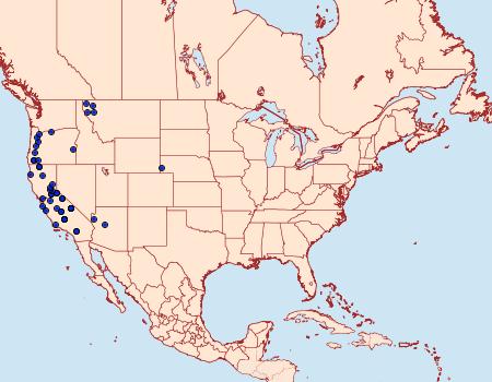 Distribution Data for Euphilotes enoptes