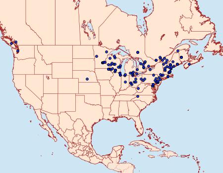 Distribution Data for Psyche casta