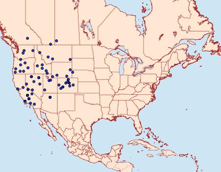 Distribution Data for Glaucopsyche piasus