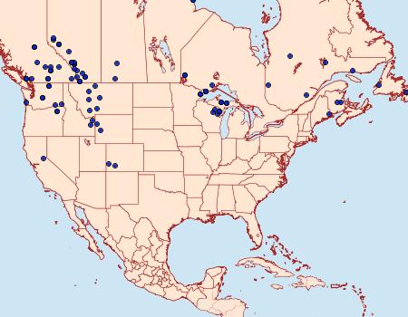 Distribution Data for Plebejus idas