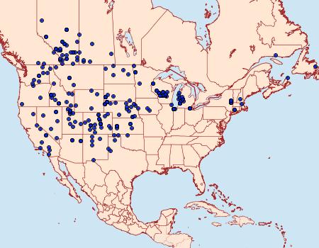 Distribution Data for Plebejus melissa