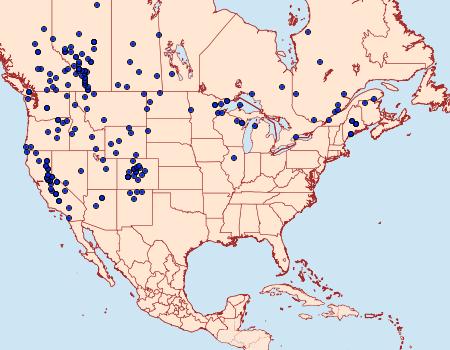 Distribution Data for Icaricia saepiolus