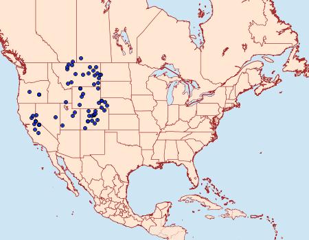 Distribution Data for Icaricia shasta