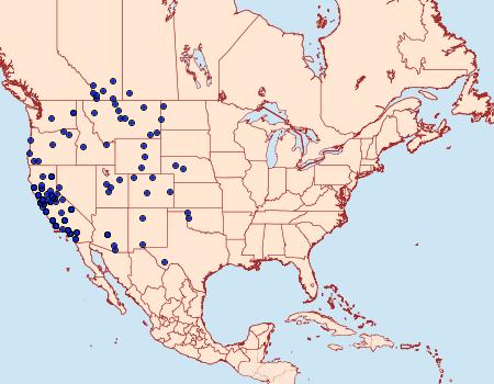 Distribution Data for Icaricia acmon