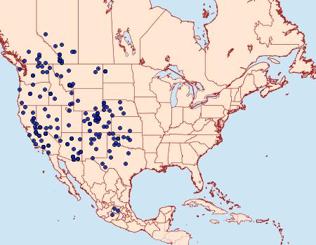 Distribution Data for Icaricia lupini