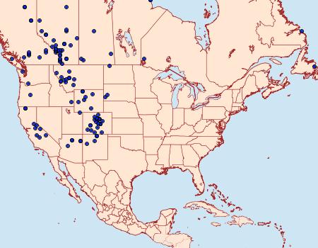 Distribution Data for Agriades glandon