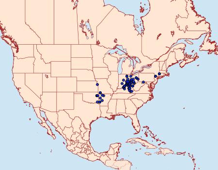 Distribution Data for Calephelis borealis