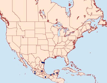 Distribution Data for Melanis pixe