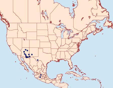 Distribution Data for Apodemia cleis