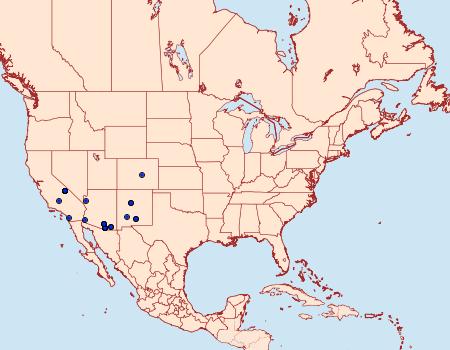 Distribution Data for Apodemia mejicanus