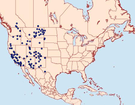 Distribution Data for Apodemia mormo