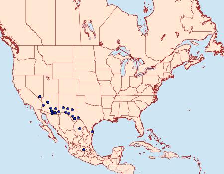 Distribution Data for Apodemia palmerii