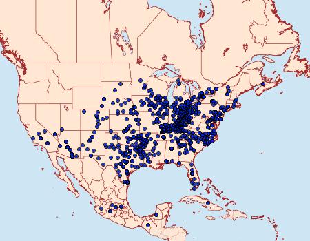 Distribution Data for Libytheana carinenta